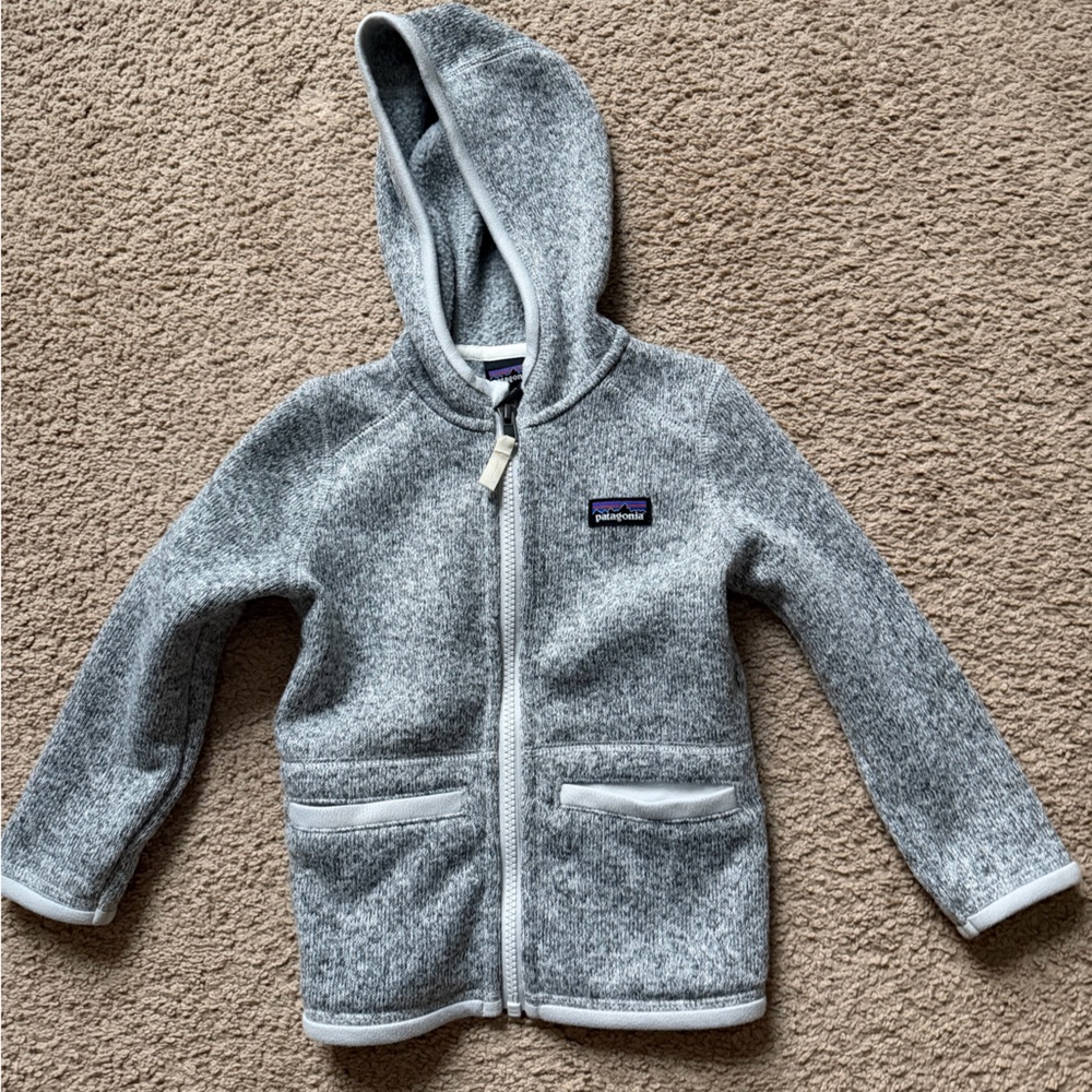 Patagonia Better Sweater Fleece Zip Up Hoodie